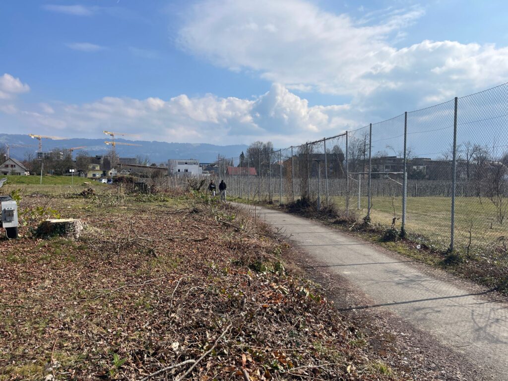 Ein Fußgängerweg in Lindau.