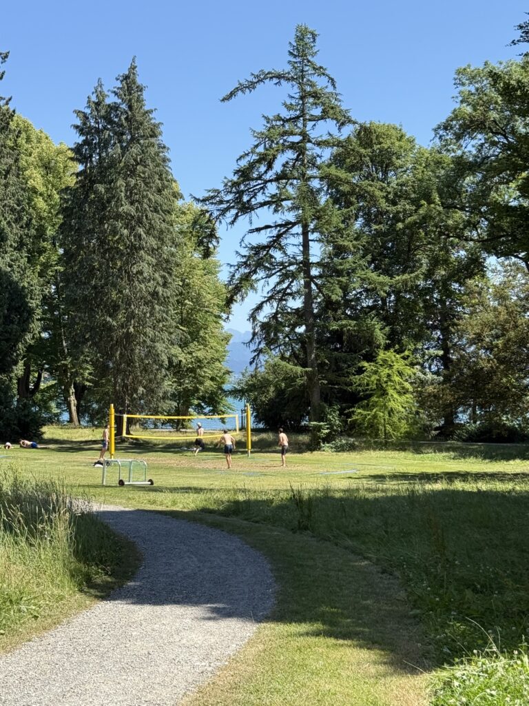 Ein gebogener Weg, vorbei an einer grünen Wiese mit Volleyballfeld und drei Spielern. Im Hintergrund der Bodensee, gesäumt von einer Reihe von Bäumen.