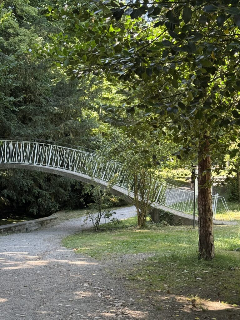 Ein schmaler Weg überkreuzt von einer dünnen, verschlungenen Brücke. Auf der linken Seite steht ein junger Baum.