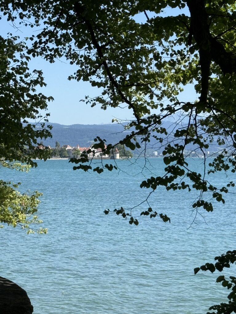 Blick aus dem Schatten der Bäume heraus über den Bodensee auf die Lindau-Insel.