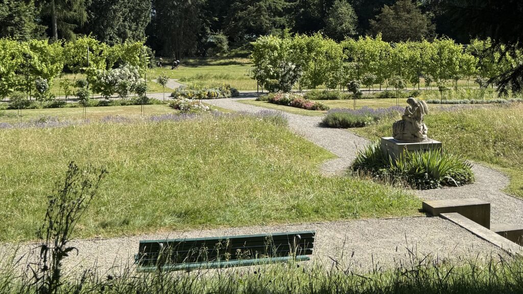 Blick über die Parklandschaft des Lindenhofparks: Eine grüne Bank im Vordergrund, schmale Wege, vorbei an grünen Wiesen, einer Stein-Statue, bis hin zu Laubenbögen mit Weinreben und Rosenstöcken. Im Hintergrund große Bäume.
