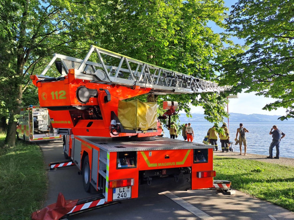 Ein Feuerwehrauto, mehrere Einsatzkräfte und der Bodensee.