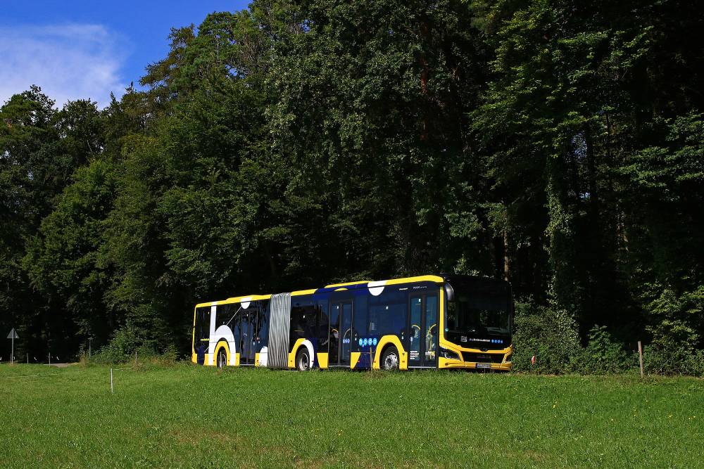 Ein Bus auf einer grünen Wiese.