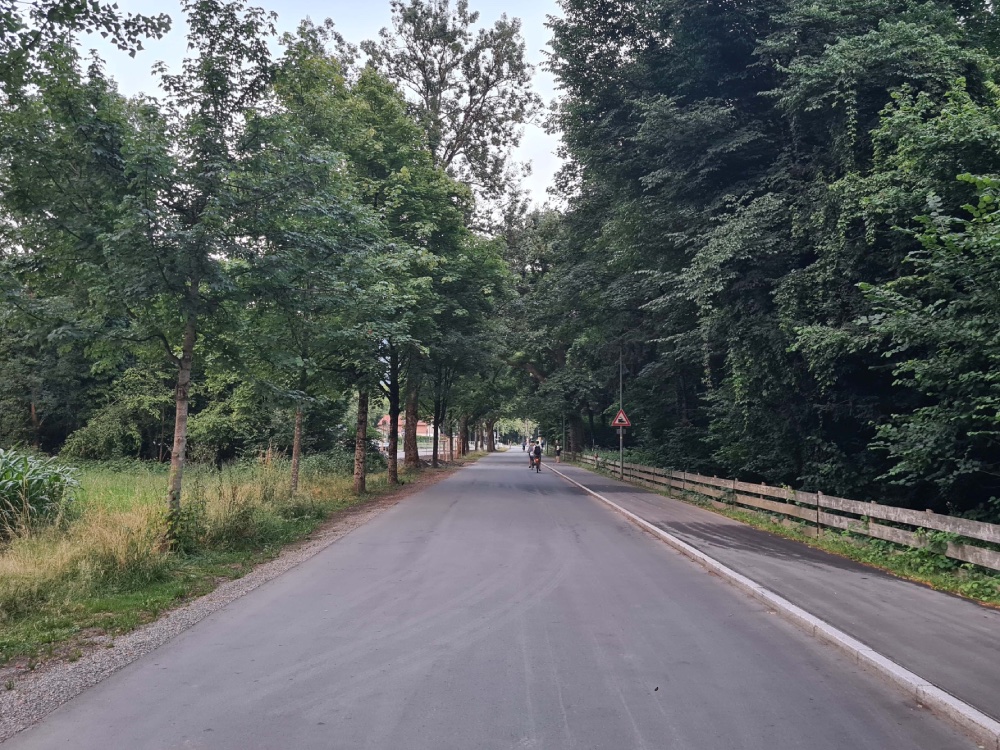 Eine Straße mit einem Fahrradfahrer.