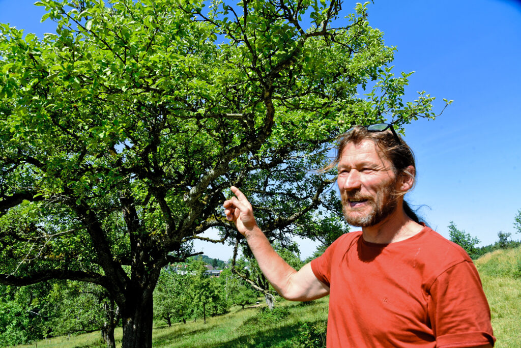 Ein Mann zeigt auf einen Baum.