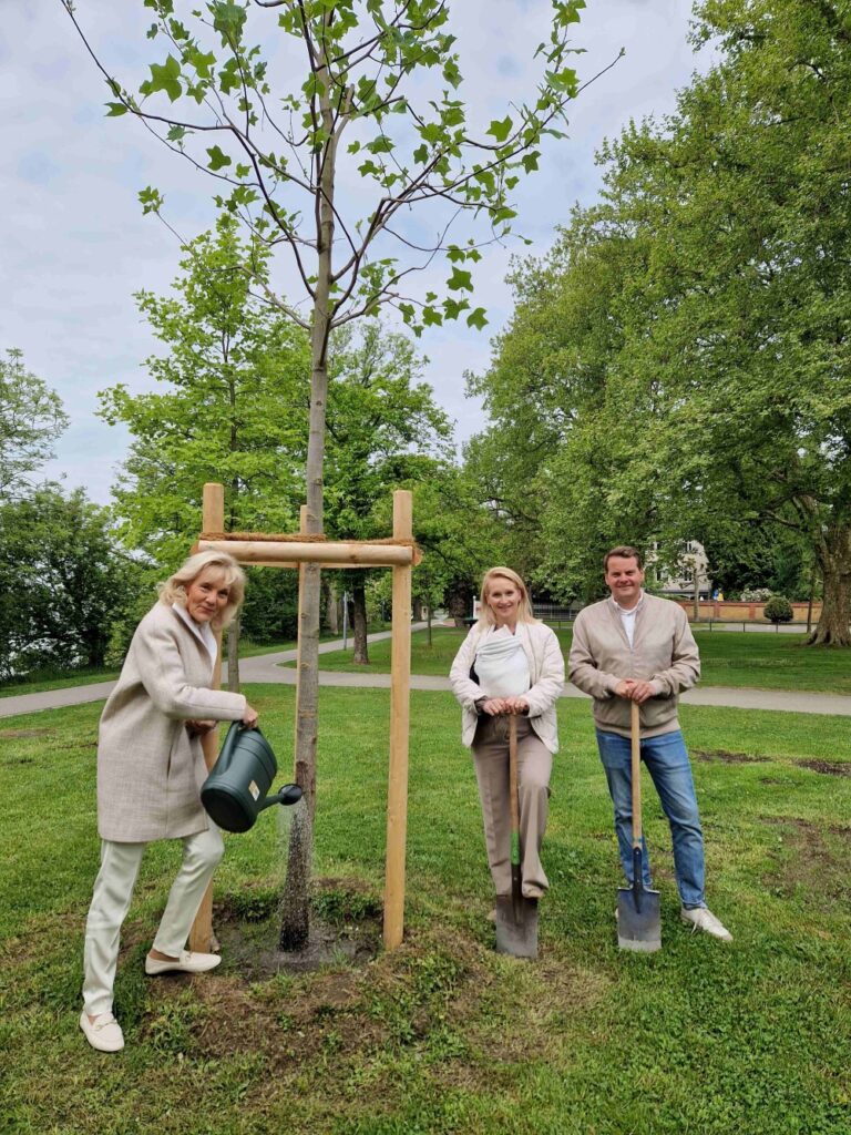Drei Menschen pflanzen gemeinsam einen Baum.